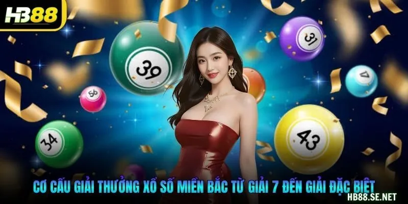 Cơ cấu giải thưởng xổ số miền Bắc từ giải 7 đến giải đặc biệt