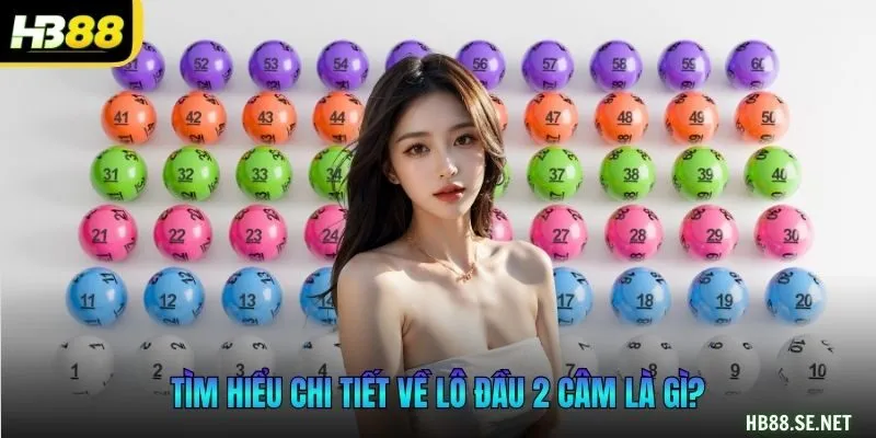 Tìm hiểu chi tiết về lô đầu 2 câm là gì